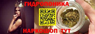 шишки Нарткала